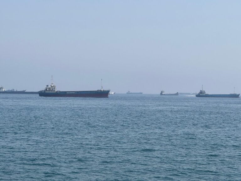 hormuz_navi_fg_3005.jpeg