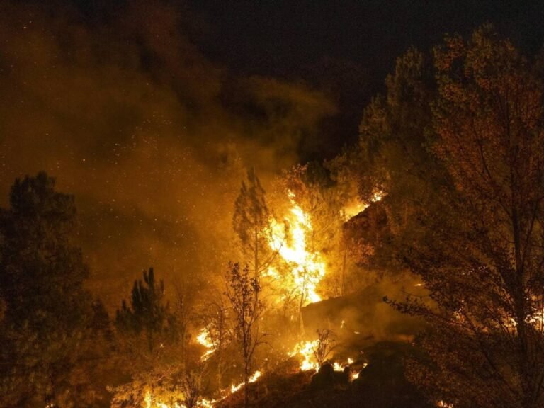incendio_andalusia.jpg