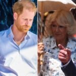 meghanharry_carlocamilla_ipa_fg.jpeg