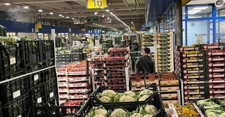 mercati-ingrosso-U41252388818KAv-1440x752@IlSole24Ore-Web.jpg