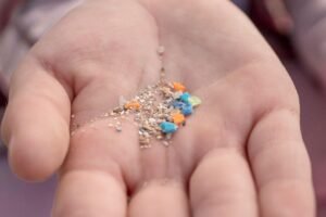 microplastiche_corpo_canva.jpeg