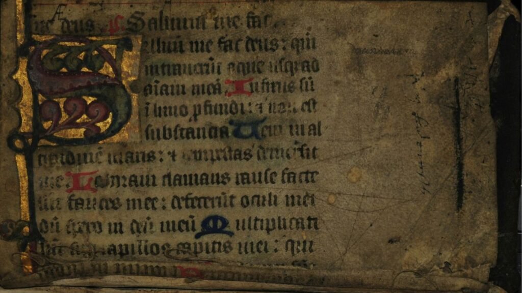 original_273179.jpg
