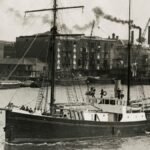 original_273184.jpg