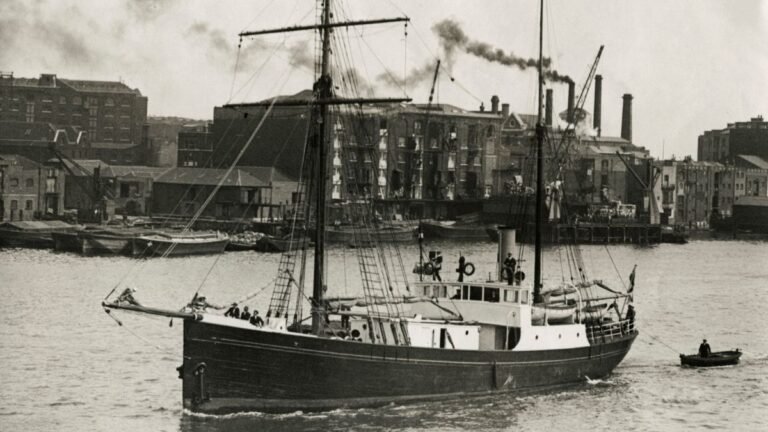 original_273184.jpg