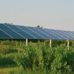 row-of-solar-panels-in-a-grassy-field-traverse-city-michigan-united-states-r-lice260625-2069266-01-p.webp