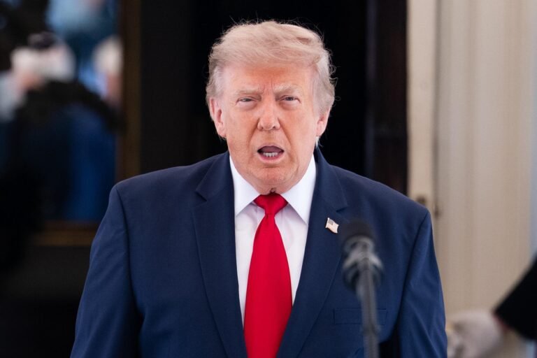 trump_mezzo_busto_fg_ipa.jpeg