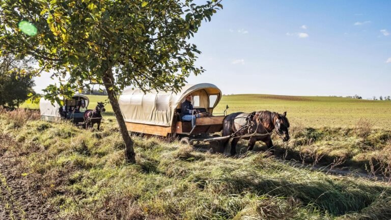 uckermark.jpg